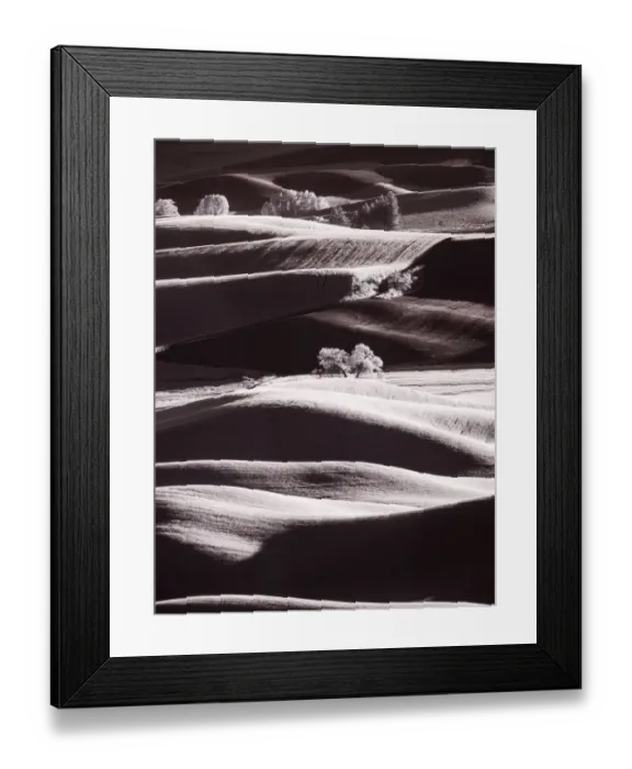 Framed Print : USA, Washington State, Palouse region, Rolling hills at Sunset Framed Print : USA, Washington State, Palouse region, Rolling hills at Sunset
