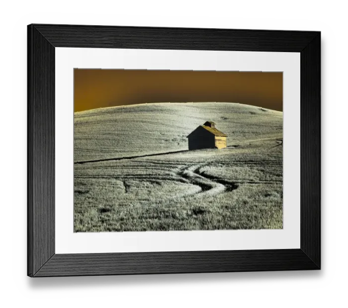 Framed Print : USA, Washington State, Palouse region, Old barn in field of wheat Framed Print : USA, Washington State, Palouse region, Old barn in field of wheat