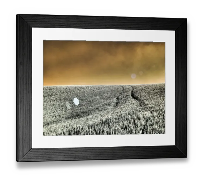 Framed Print : USA, Washington State, Palouse region, Rolling Hills of wheat Framed Print : USA, Washington State, Palouse region, Rolling Hills of wheat