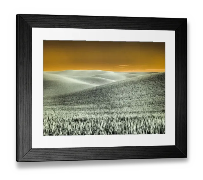 Framed Print : USA, Washington State, Palouse region, Rolling Hills of wheat Framed Print : USA, Washington State, Palouse region, Rolling Hills of wheat