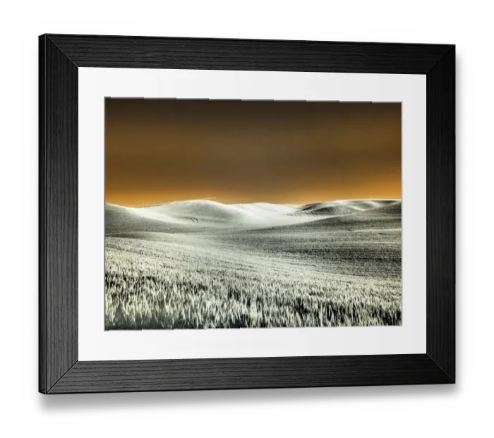 Framed Print : USA, Washington State, Palouse region, Rolling Hills of wheat Framed Print : USA, Washington State, Palouse region, Rolling Hills of wheat
