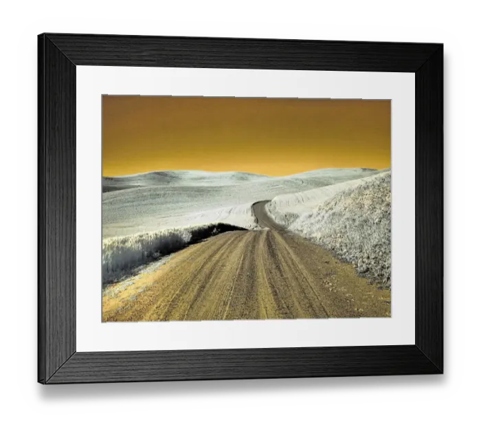 Framed Print : USA, Washington State, Palouse region, Country backroad through wheat fields Framed Print : USA, Washington State, Palouse region, Country backroad through wheat fields