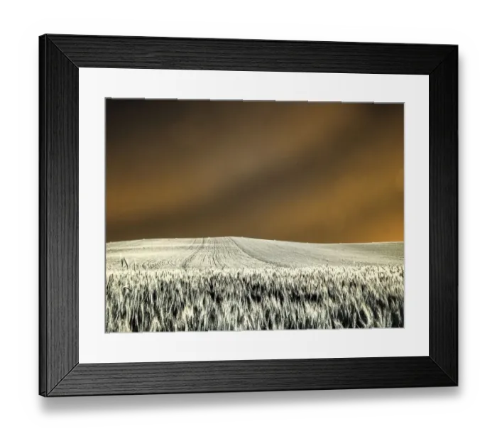Framed Print : USA, Washington State, Palouse region, Rolling Hills of wheat Framed Print : USA, Washington State, Palouse region, Rolling Hills of wheat