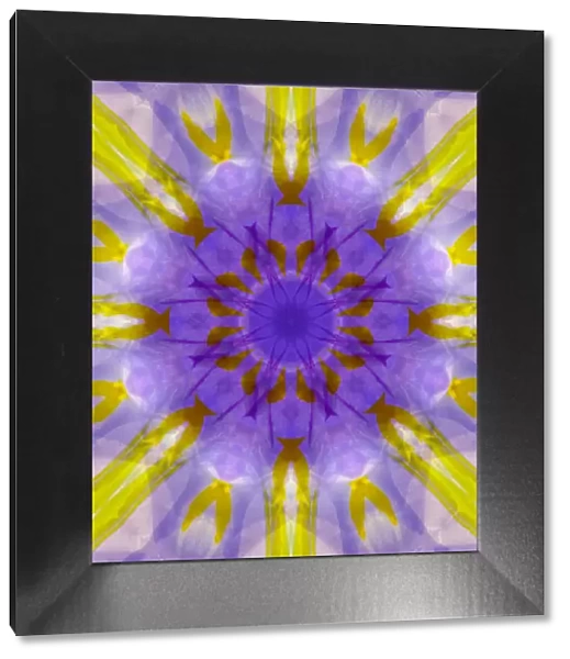 Purple and yellow kaleidoscope abstract