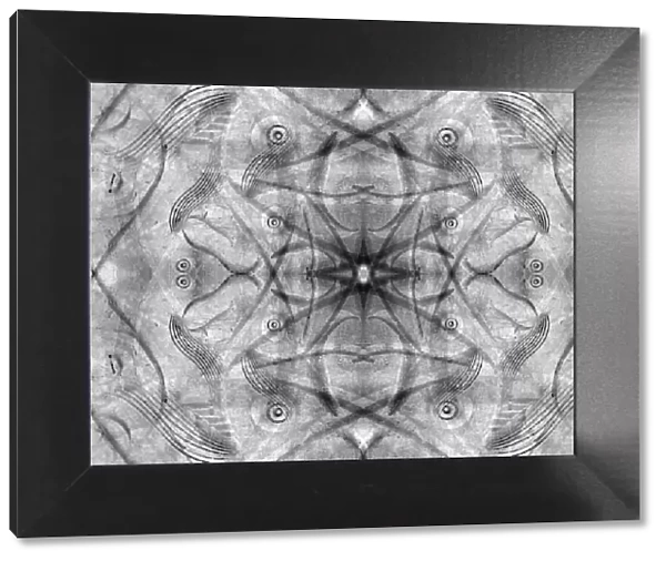 Black and white of kaleidoscope abstract