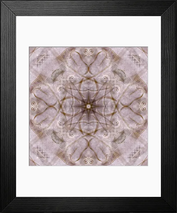 Framed Print : Pink and brown kaleidoscope abstract