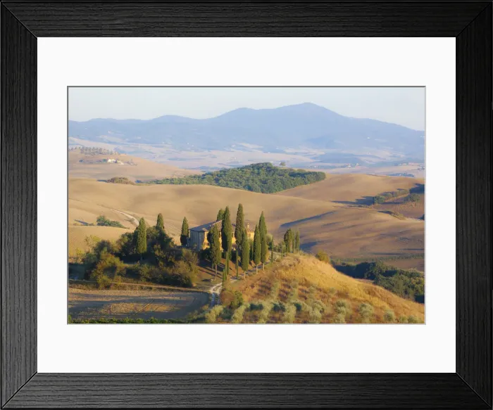 Framed Print : Italy, Tuscany. Belvedere House, Olive trees, and vineyards near San Quirico d Orcia Framed Print : Italy, Tuscany. Belvedere House, Olive trees, and vineyards near San Quirico d Orcia