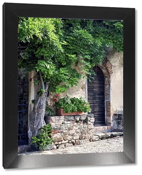 Italy, Tuscany. Courtyard of an agriturismo near the hill town of Montalcino