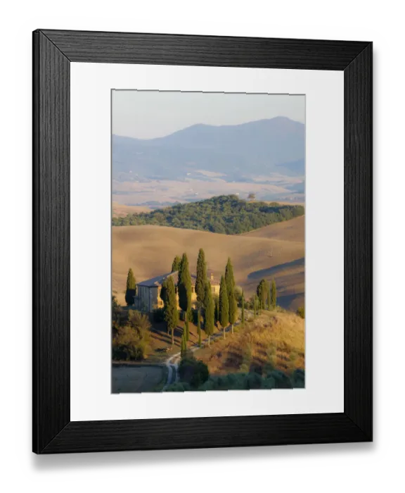 Framed Print : Italy, Tuscany. Belvedere House, Olive trees, and vineyards near San Quirico d Orcia Framed Print : Italy, Tuscany. Belvedere House, Olive trees, and vineyards near San Quirico d Orcia