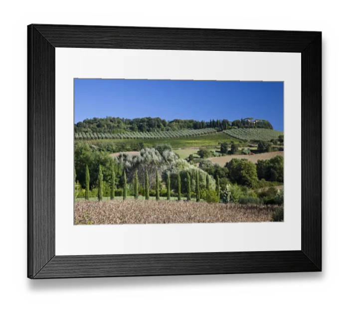 Framed Print : Italy, Tuscany. Villa on hillside surrounded with olive trees and vineyard Framed Print : Italy, Tuscany. Villa on hillside surrounded with olive trees and vineyard