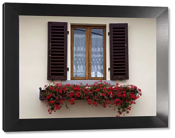Italy, Radda in Chianti. Flower boxes with red geraniums below a window with shutters