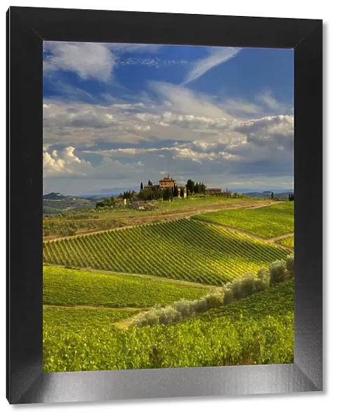Italy, Tuscany. A view of the vineyards and villa in Chianti region of Tuscany, Italy