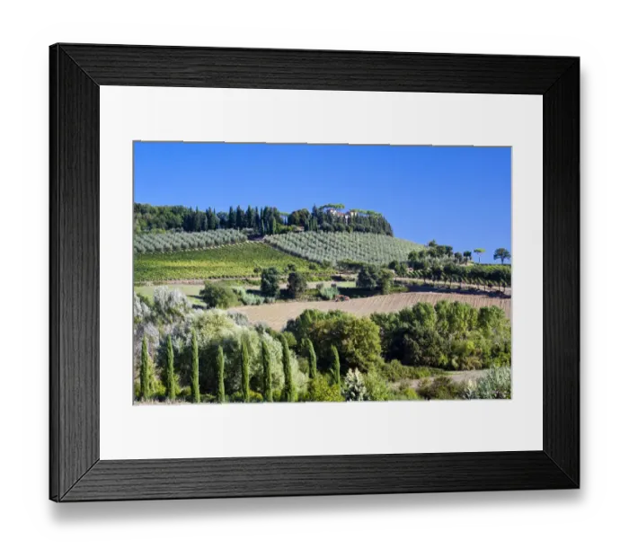 Framed Print : Italy, Tuscany. Villa on hillside surrounded with olive trees and vineyard Framed Print : Italy, Tuscany. Villa on hillside surrounded with olive trees and vineyard