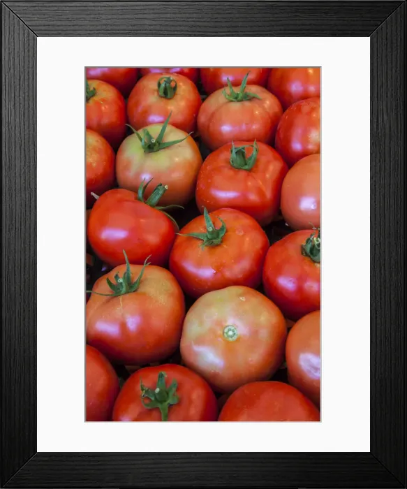 Framed Print : Italy, Venice. Tomatoes on display and for sale in the Rialto Market Framed Print : Italy, Venice. Tomatoes on display and for sale in the Rialto Market