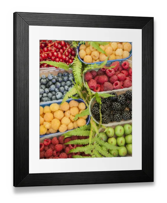 Framed Print : Italy, Venice. A variety of berries on display and for sale in the Rialto Market Framed Print : Italy, Venice. A variety of berries on display and for sale in the Rialto Market