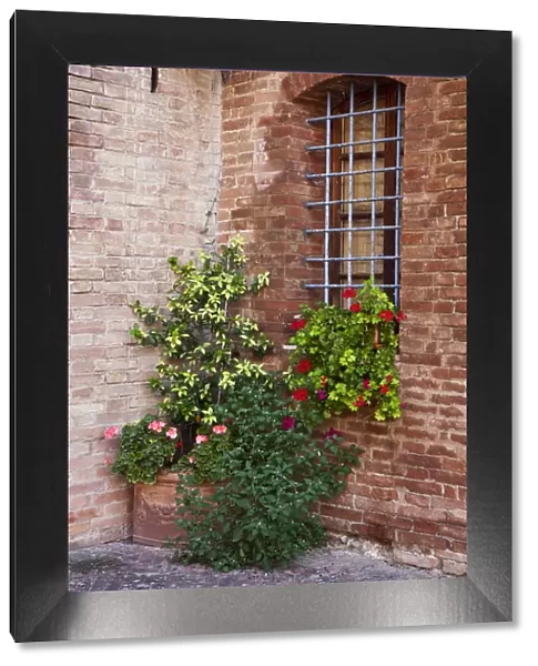 Italy, Tuscany. Plants inside the Abbazia di Monte Oliveto Maggiore, one of the rural monasteries in Tuscany