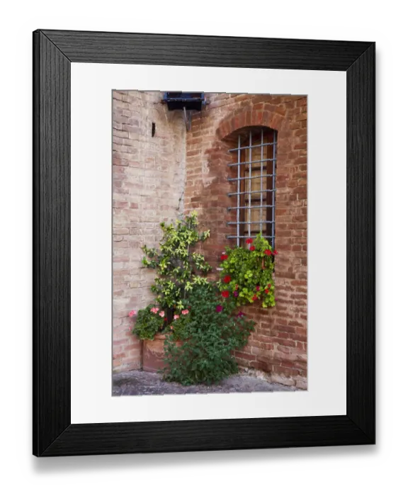 Framed Print : Italy, Tuscany. Plants inside the Abbazia di Monte Oliveto Maggiore, one of the rural monasteries in Tuscany