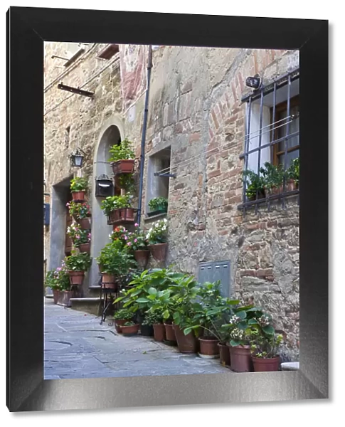 Italy, Tuscany, Crete Senesi, Asciano. Street scene with potted flowers near the entrance of a home in the hill town of Asciano