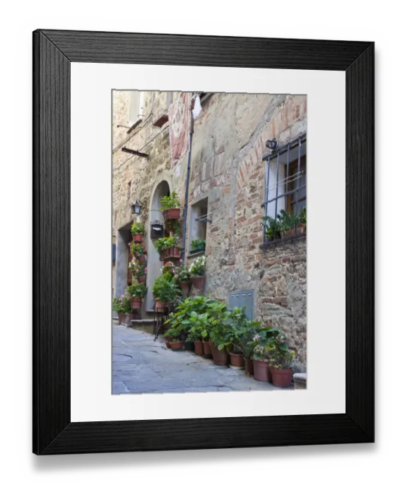 Framed Print : Italy, Tuscany, Crete Senesi, Asciano. Street scene with potted flowers near the entrance of a home in the hill town of Asciano