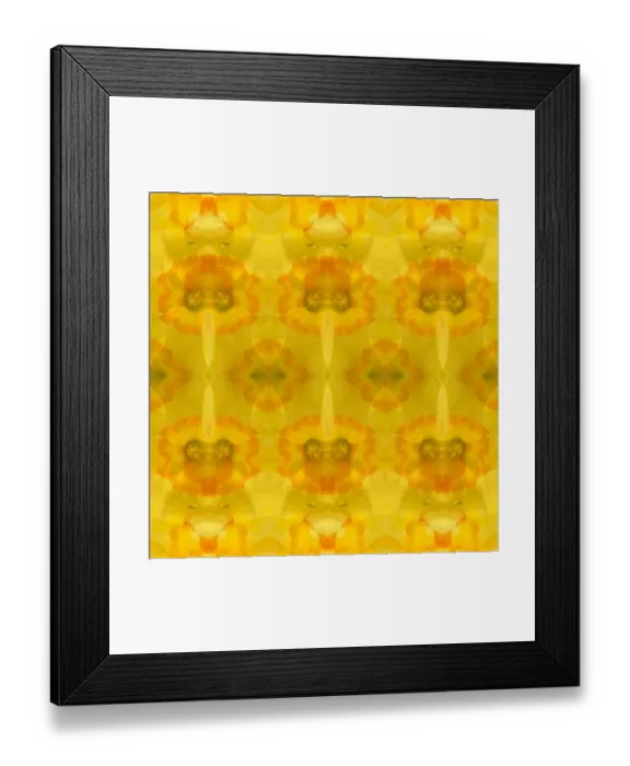 Framed Print : Yellow and orange daffodil abstract Framed Print : Yellow and orange daffodil abstract