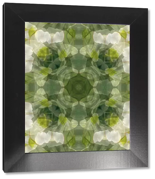 Yellow, green and white floral abstract