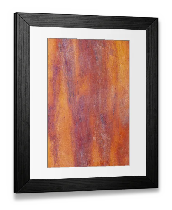 Framed Print : Canada, British Columbia. Bark detail of madrone tree smooth bark