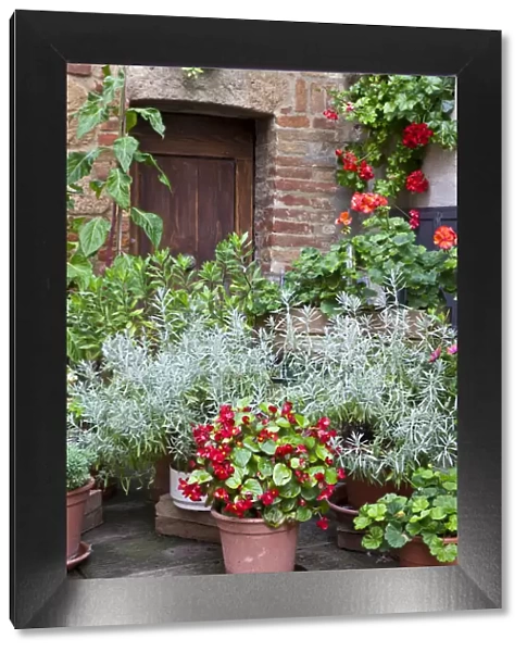 Italy, Tuscany, Pienza. Potted plants in the corner of a street in the town of Pienza