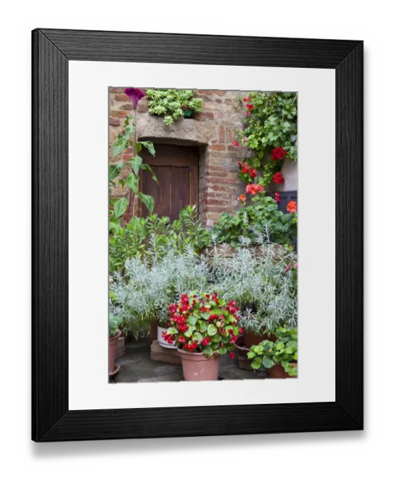 Framed Print : Italy, Tuscany, Pienza. Potted plants in the corner of a street in the town of Pienza Framed Print : Italy, Tuscany, Pienza. Potted plants in the corner of a street in the town of Pienza