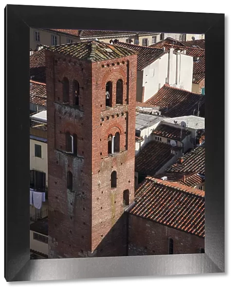 Italy, Tuscany, Lucca. The bell tower of the church San Pietro Somaldi, a Gothic-style, Roman Catholic church located on a Piazza