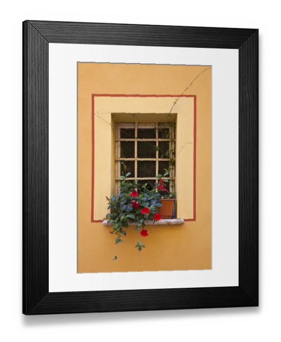 Framed Print : Italy, Tuscany, Montepulciano. Potted plant on a windowsill in the hill town of Montepulciano