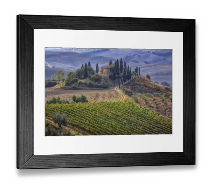 Framed Print : Italy, Tuscany. Belvedere House, Olive trees, and vineyards near San Quirico d Orcia Framed Print : Italy, Tuscany. Belvedere House, Olive trees, and vineyards near San Quirico d Orcia