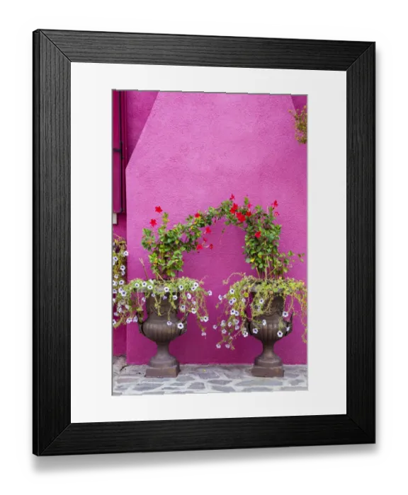 Framed Print : Italy, Venice, Burano Island. Urns planted with flowers against a bright pink wall on Burano Island Framed Print : Italy, Venice, Burano Island. Urns planted with flowers against a bright pink wall on Burano Island