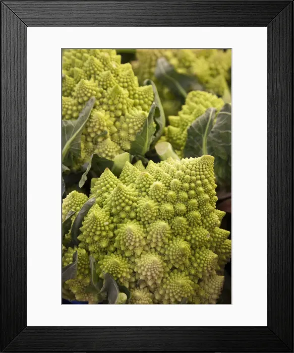 Framed Print : Italy, Venice. Green Romanesco cauliflower on display and for sale in the Rialto Market