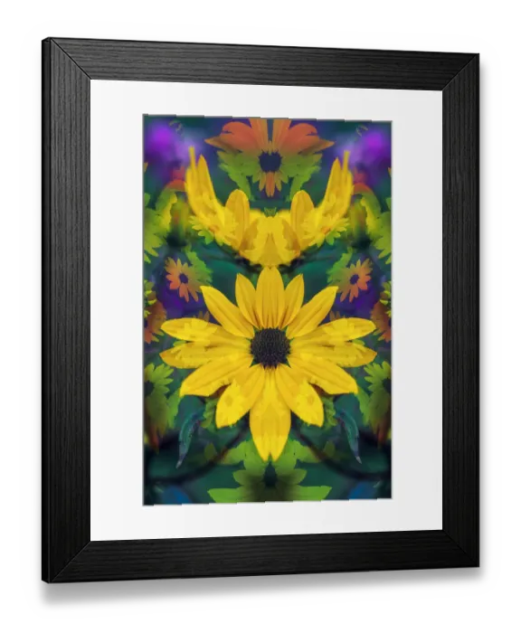 Framed Print : Black-eyed Susan