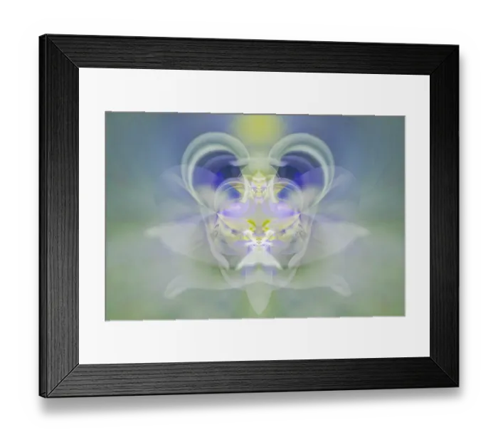 Framed Print : Star of Bethlehem