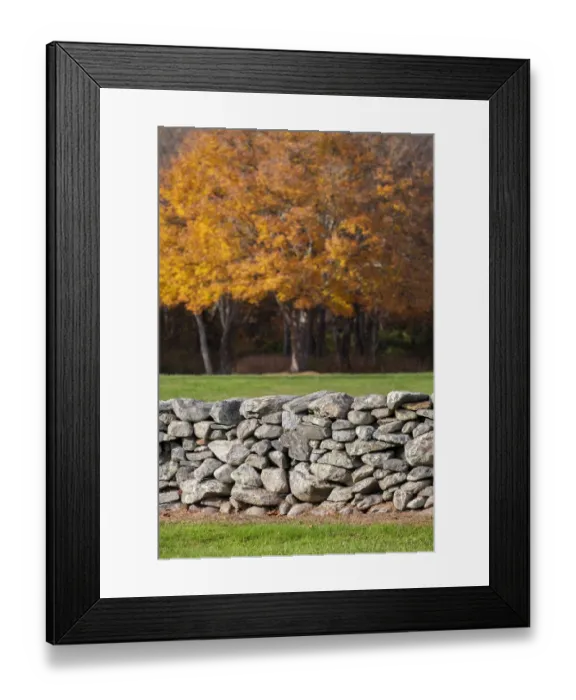 Framed Print : Colorful fall foliage, New England, USA