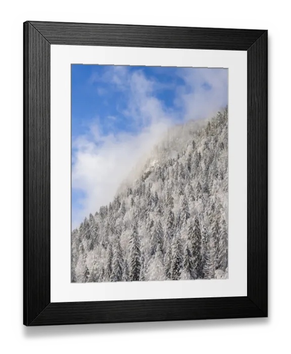 Framed Print : Mountain forest at frozen Sylvenstein Reservoir near Bad Tolz in the Isar Valley of Karwendel mountain range during winter. Germany, Bavaria Framed Print : Mountain forest at frozen Sylvenstein Reservoir near Bad Tolz in the Isar Valley of Karwendel mountain range during winter. Germany, Bavaria