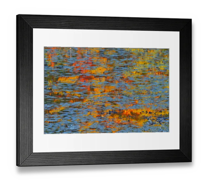 Framed Print : Canada, Ontario, Minden. Reflection of autumn colored forest in pond with water lily pads Framed Print : Canada, Ontario, Minden. Reflection of autumn colored forest in pond with water lily pads