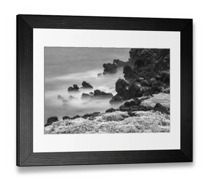 Framed Print : Rocky shoreline covered in Sesuvium, South Plaza Island, Galapagos Islands, Ecuador Framed Print : Rocky shoreline covered in Sesuvium, South Plaza Island, Galapagos Islands, Ecuador