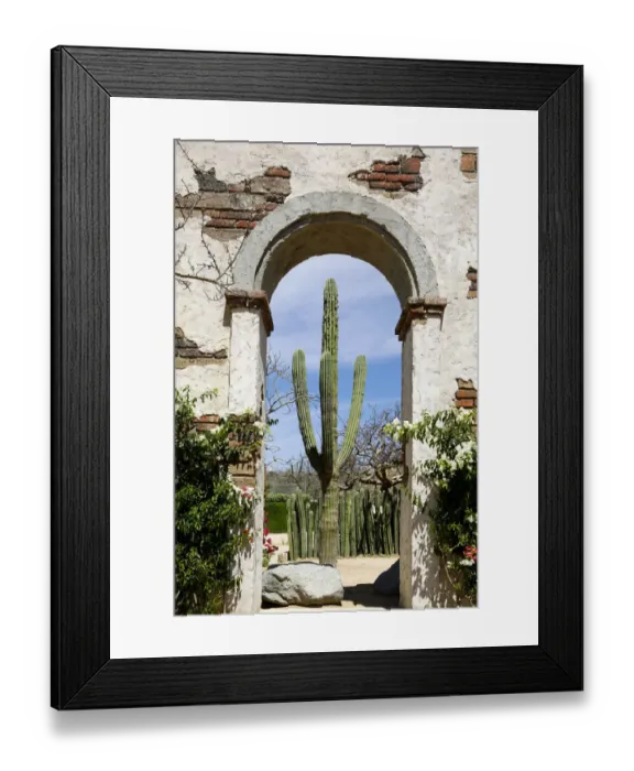Framed Print : Cactus in archway of old building. Cabo San Lucas, Mexico Framed Print : Cactus in archway of old building. Cabo San Lucas, Mexico
