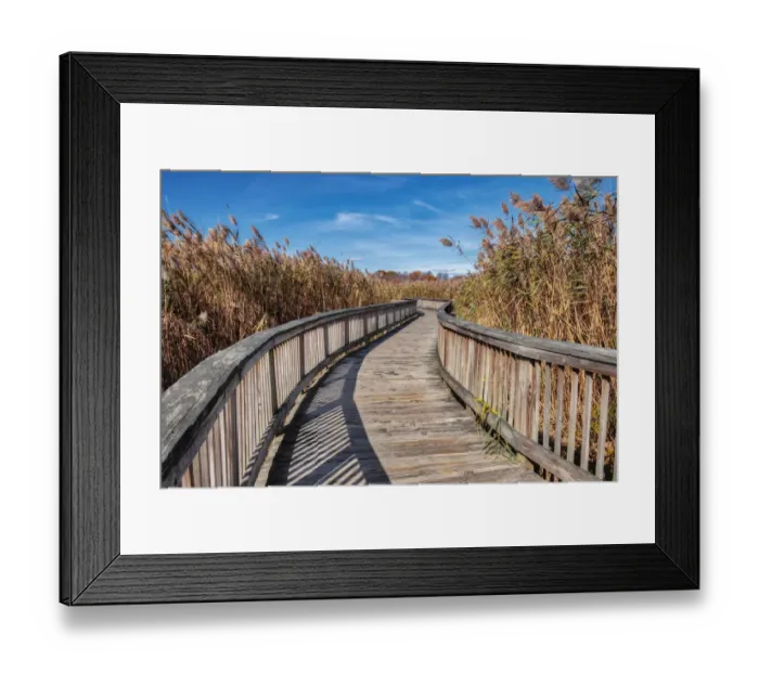 Framed Print : Wooden boardwalk in the autumn