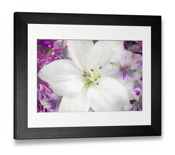 Framed Print : Flowers-lily, alstroemeria, dianthus and chrysanthemum arrangement, Marion County, Illinois Framed Print : Flowers-lily, alstroemeria, dianthus and chrysanthemum arrangement, Marion County, Illinois