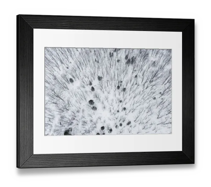 Framed Print : Aerial of snow-covered woods Stephen A. Forbes State Park, Marion County, Illinois