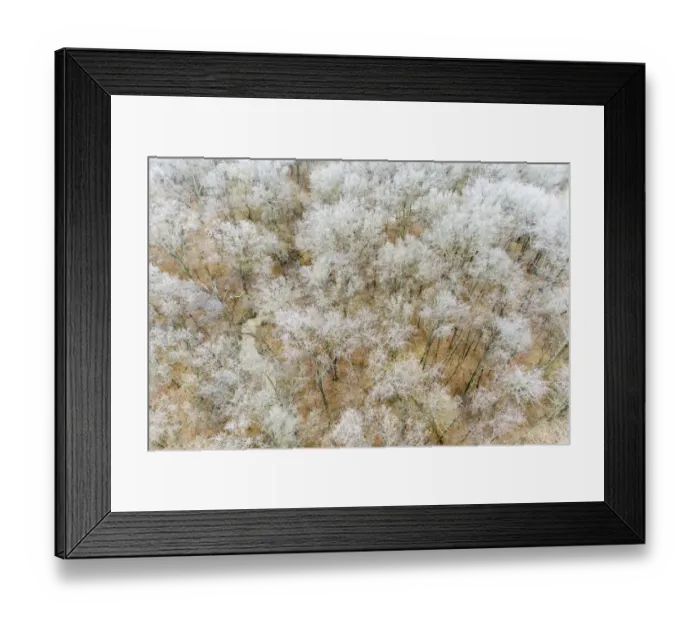 Framed Print : Aerial of trees in fog and frost, Marion County, Illinois Framed Print : Aerial of trees in fog and frost, Marion County, Illinois