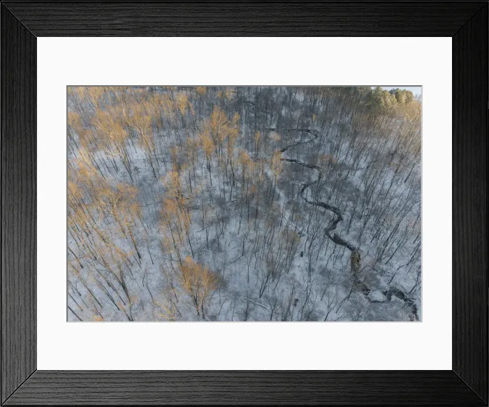 Framed Print : Aerial of snowy trees, Marion County, Illinois Framed Print : Aerial of snowy trees, Marion County, Illinois