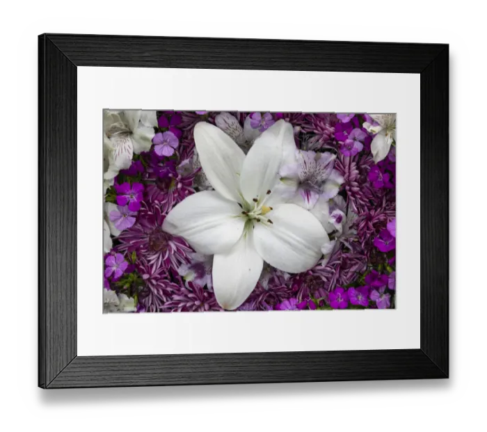 Framed Print : Flowers-lily, alstroemeria, dianthus and chrysanthemum arrangement, Marion County, Illinois Framed Print : Flowers-lily, alstroemeria, dianthus and chrysanthemum arrangement, Marion County, Illinois