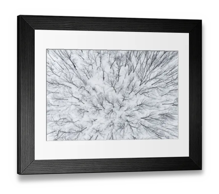 Framed Print : Aerial of snow-covered woods Stephen A. Forbes State Park, Marion County, Illinois Framed Print : Aerial of snow-covered woods Stephen A. Forbes State Park, Marion County, Illinois