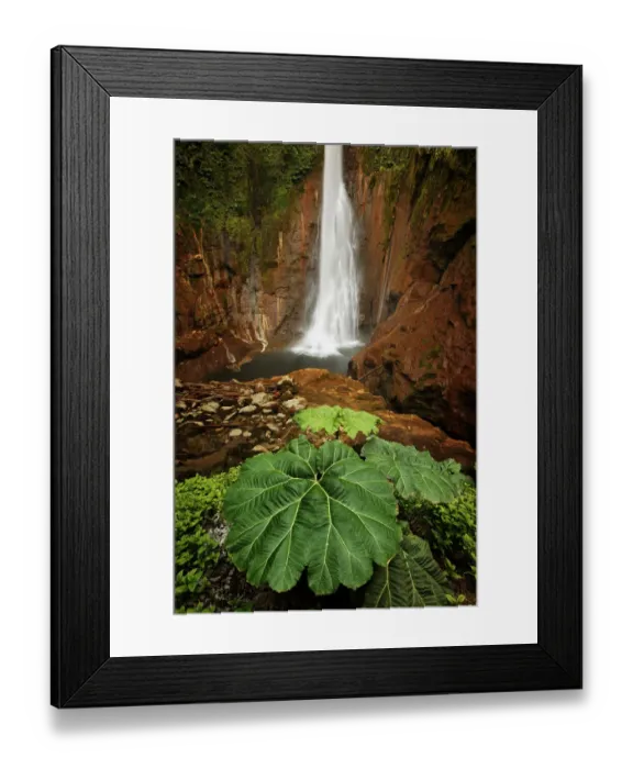 Framed Print : Catarata Del Toro Waterfall, in the mountains of Bajos del Toro Amarillo, Sarchi, Costa Rica Framed Print : Catarata Del Toro Waterfall, in the mountains of Bajos del Toro Amarillo, Sarchi, Costa Rica