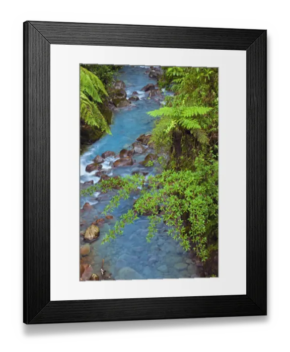 Framed Print : Small stream or creek, Costa Rica Framed Print : Small stream or creek, Costa Rica