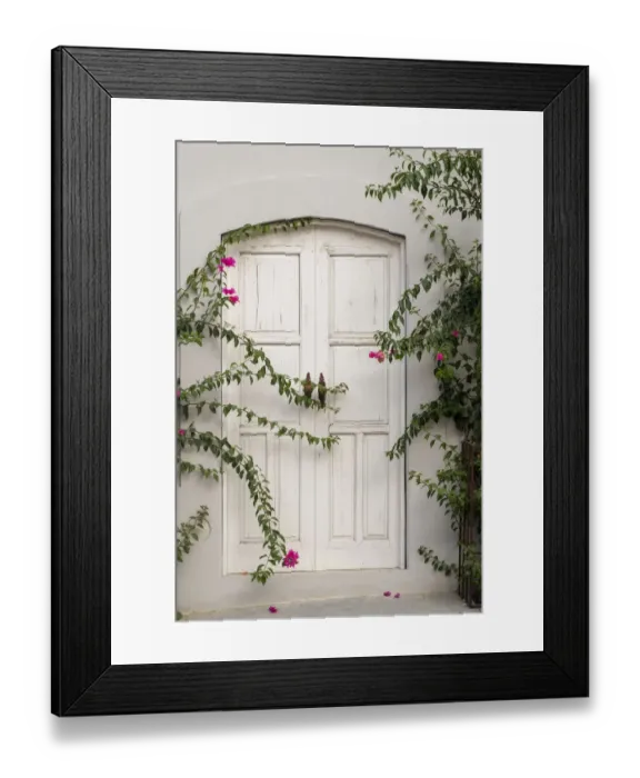 Framed Print : Todos Santos, Mexico. White door in a white wall partly covered with flowers Framed Print : Todos Santos, Mexico. White door in a white wall partly covered with flowers